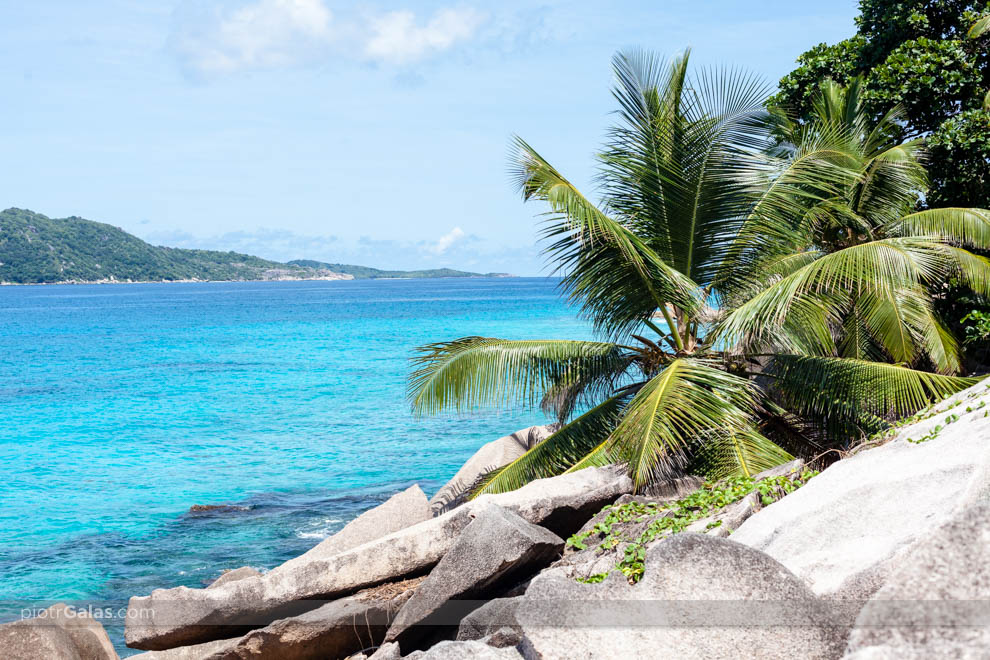 Widok na wyspę Felicite z plaży Anse Patates oraz powalona na skały palma