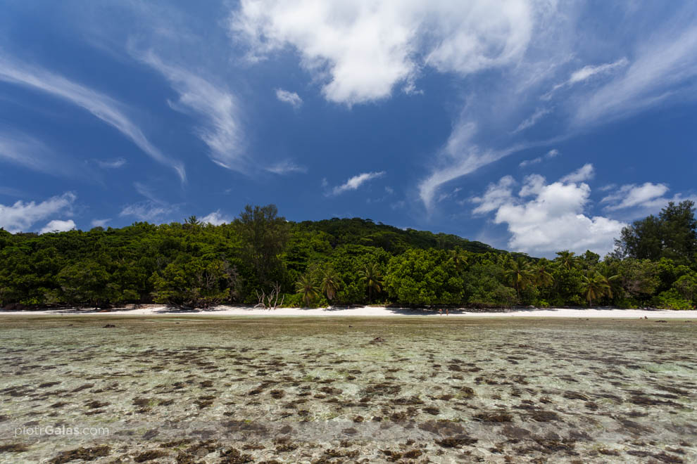 Widok na wyspę La Digue z plaży Anse Severe podczas odpływu