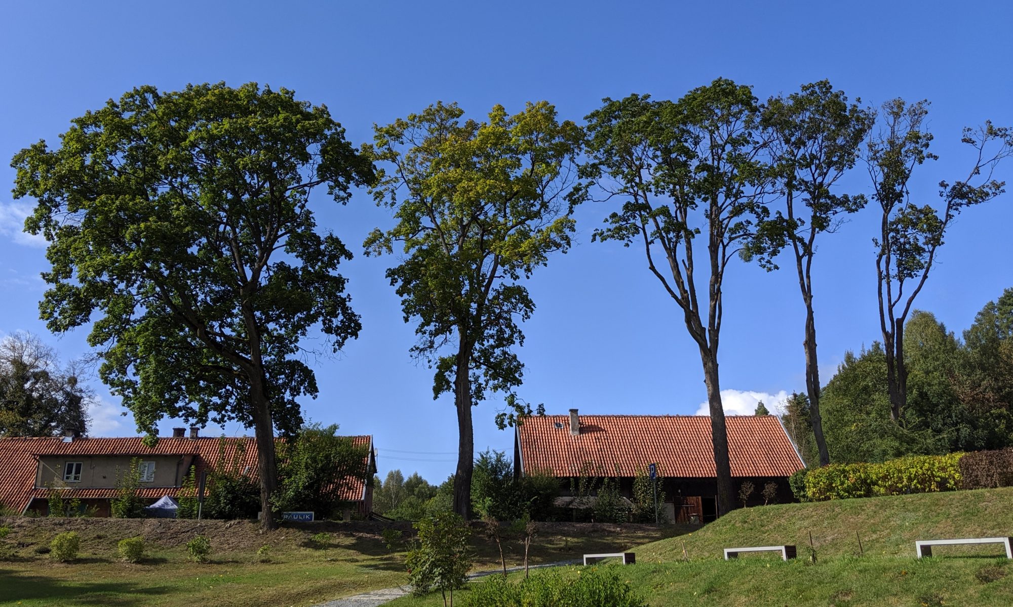 Kudypy - stodoły naprzeciwko Leśnego Arboretum Warmii i Mazur